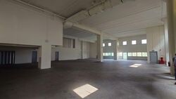 Woodlands Spectrum (D25), Factory #551922571
